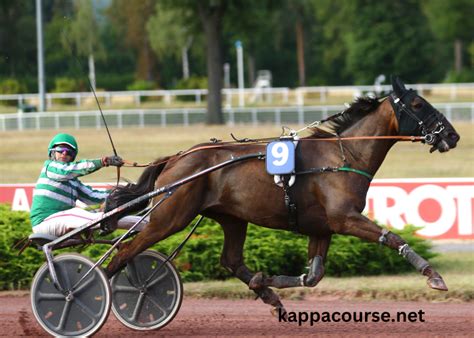 voyeusesur turf|LE DUO SUR.